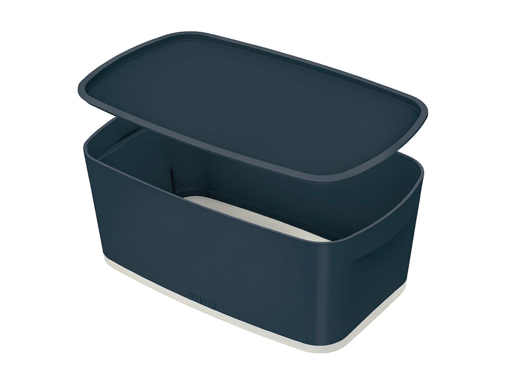 BOITE DE RANGEMENT LEITZ COSY MY BOX PETIT FORMAT AVEC COUVERCLE + ORGANISATEUR POIGNEE COLORIS GRIS