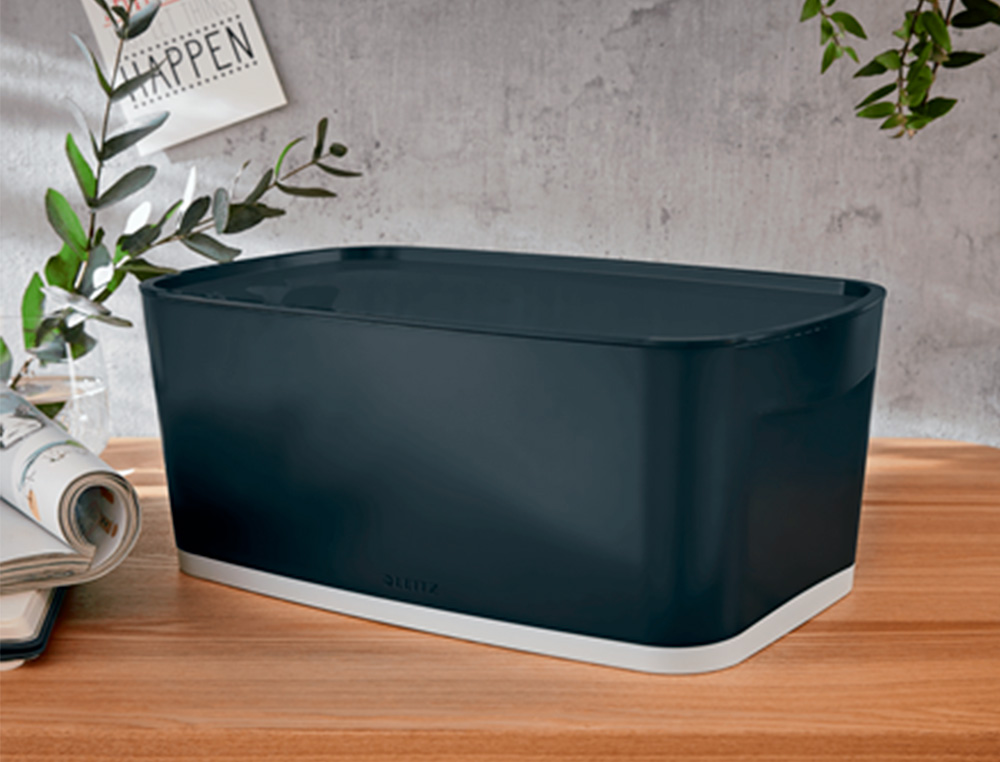 BOITE DE RANGEMENT LEITZ COSY MY BOX PETIT FORMAT AVEC COUVERCLE + ORGANISATEUR POIGNEE COLORIS GRIS
